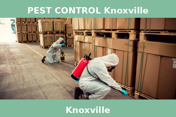 PEST CONTROL Knoxville